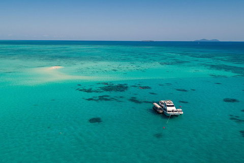 Ocean Freedom Great Barrier Reef Personal Luxury Snorkel & Dive Cruise, Cairns - VIC Tourism 2