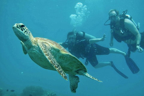 Ocean Freedom Great Barrier Reef Personal Luxury Snorkel & Dive Cruise, Cairns - VIC Tourism 4