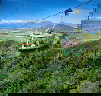 Best of Kuranda Including Skyrail Kuranda Scenic Railway and Rainforestation