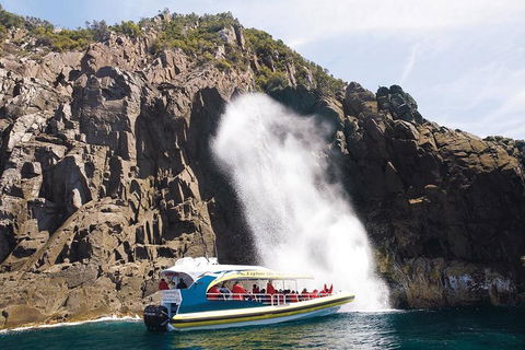 Full-Day Bruny Island Cruises Day Tour From Hobart - VIC Tourism 4