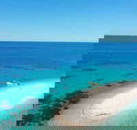 Ocean Safari Great Barrier Reef Experience in Cape Tribulation - VIC Tourism