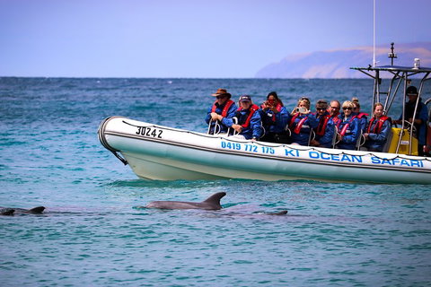 Kangaroo Island 75-Minute Ocean Safari - VIC Tourism 4