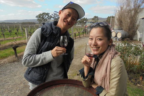 Swan Valley River Cruise And Wine Tasting Day Trip From Perth - VIC Tourism 0