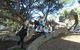 1/2 Day Swan Valley Wine Cheese & Chocolate Tour Inc Afternoon Cruise To Perth - thumb 0