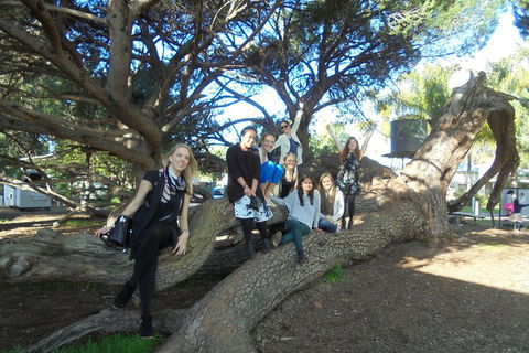 1/2 Day Swan Valley Wine Cheese & Chocolate Tour Inc Afternoon Cruise To Perth - VIC Tourism 0