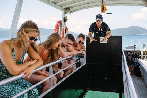 Fitzroy Island Day Trip From Cairns - VIC Tourism 4