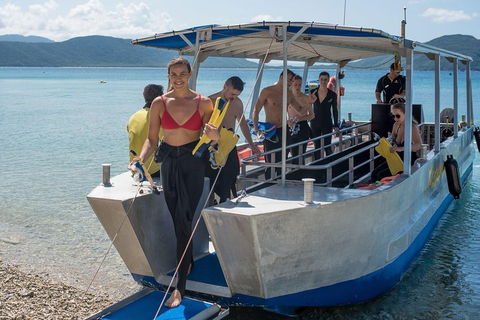 Fitzroy Island Day Trip From Cairns - VIC Tourism 5