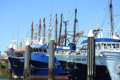 One Day Port Lincoln Tour - Tasting Eyre - VIC Tourism 0