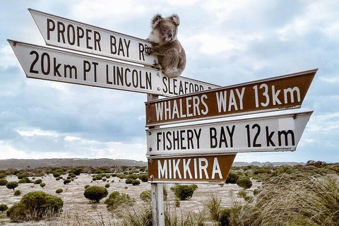 One Day Port Lincoln Tour - Tasting Eyre - VIC Tourism 2