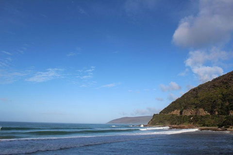 Private Great Ocean Road Day Tour With Early Departure & Early Return (11 Hours) - VIC Tourism 3