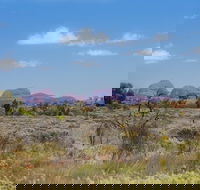 Overnight Uluru Ayers Rock Small-Group Camping Tour - VIC Tourism