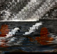 3 Day 4WD Dragonfly Dreaming Top End Safari - VIC Tourism