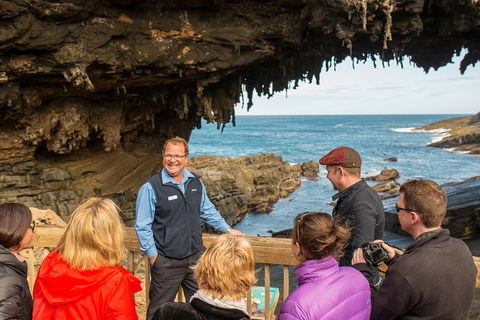 Kangaroo Island In A Day Tour From Adelaide - VIC Tourism 3