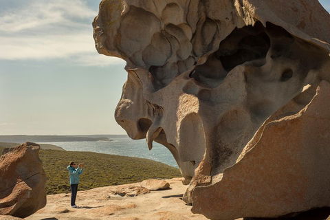 Kangaroo Island In A Day Tour From Adelaide - VIC Tourism 5