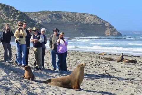 2-Day Kangaroo Island 4WD Small-Group Tour From Adelaide - VIC Tourism 3