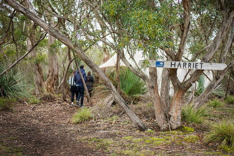 2-Day Kangaroo Island 4WD Small-Group Tour From Adelaide - VIC Tourism 5