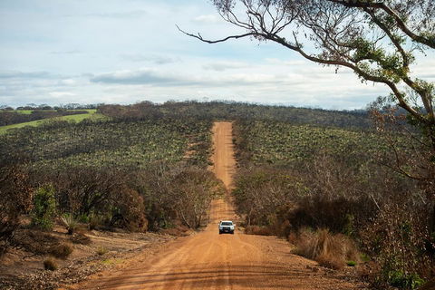 NEW TOUR - Kangaroo Island Road To Recovery Tour (1 Day/1 Night) - VIC Tourism 2