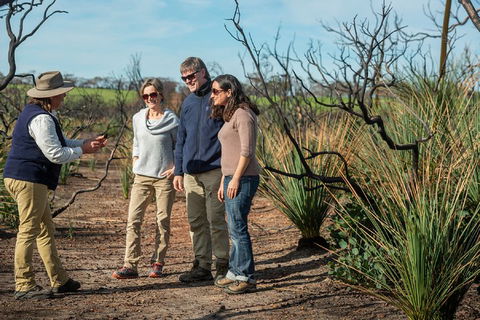 NEW TOUR - Kangaroo Island Road To Recovery Tour (1 Day/1 Night) - VIC Tourism 4