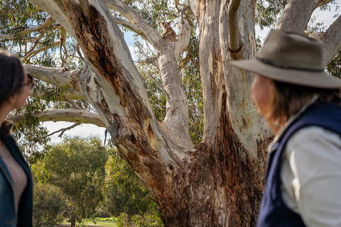 Full Day Flinders Chase Tour From Kangaroo Island - VIC Tourism 5