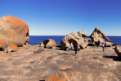 Full-Day Kangaroo Island Experience Departing From Kangaroo Island - VIC Tourism 4