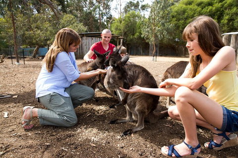 Full-Day Kangaroo Island Experience Departing From Kangaroo Island - VIC Tourism 5