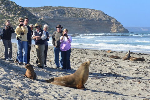 Full Day Seal Bay Experience Departing From Kangaroo Island - VIC Tourism 0