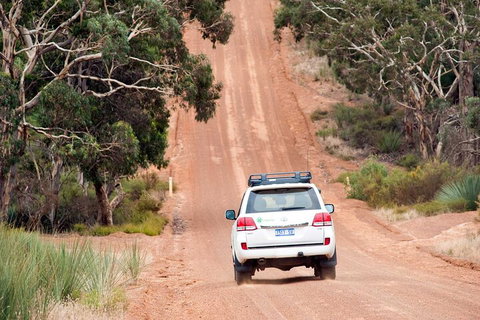 Full Day Seal Bay Experience Departing From Kangaroo Island - VIC Tourism 2