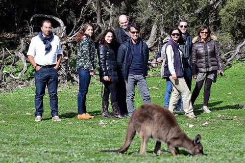 Full Day Seal Bay Experience Departing From Kangaroo Island - VIC Tourism 3