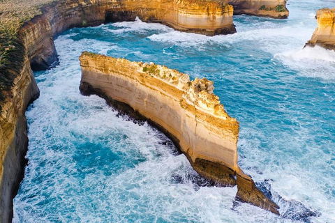 Small-Group Great Ocean Road Day Trip From Melbourne - VIC Tourism 2