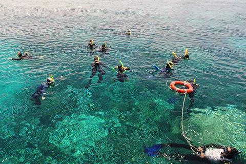 Seastar Luxury Outer Great Barrier Reef Island And Reef Tour From Cairns - VIC Tourism 2