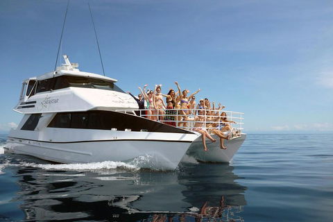 Seastar Luxury Outer Great Barrier Reef Island And Reef Tour From Cairns - VIC Tourism 4