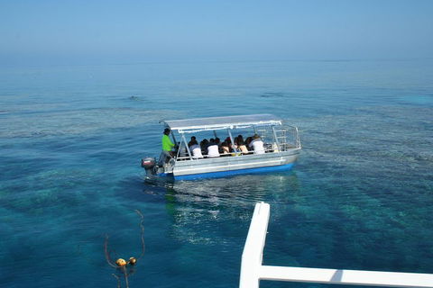 Seastar Luxury Outer Great Barrier Reef Island And Reef Tour From Cairns - VIC Tourism 5