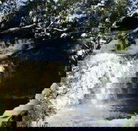 Cradle Mountain Day Tour from Launceston Including Lunch - VIC Tourism