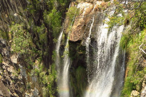 Beyond Byron Hinterland Tour - VIC Tourism 5