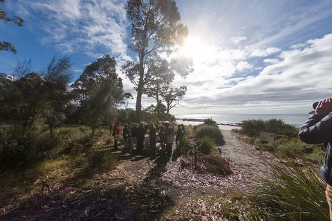 Bruny Island Day Tour, Includes Lunch And Exclusive Lighthouse Tour - VIC Tourism 5