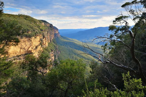 Blue Mountains Day Tour With Wildlife At Sunset From Sydney - VIC Tourism 5