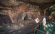 Kakadu National Park Wildlife And Ubirr Rock Art Tour From Darwin City - thumb 0