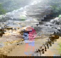 Blue Mountains Day Trip from Sydney with amazing lookouts Private Tour - VIC Tourism