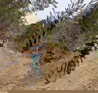 Mount Lofty Descent Bike Tour from Adelaide - VIC Tourism