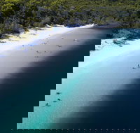 All-Inclusive Fraser Island Day Tour - VIC Tourism