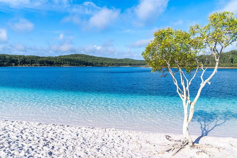 Lake McKenzie Full-Day Tour With Lunch From Hervey Bay - VIC Tourism 1