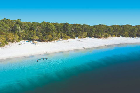 Lake McKenzie Full-Day Tour With Lunch From Hervey Bay - VIC Tourism 4