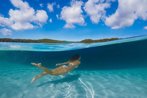 Lake McKenzie Full-Day Tour With Lunch From Hervey Bay - VIC Tourism 5