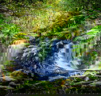 Day Tour in Mt. Field Mt. Wellington Bonorong Wildlife Sanctuary and Richmond - VIC Tourism