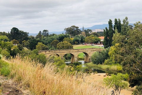 Day Tour In Mt. Field, Mt. Wellington, Bonorong Wildlife Sanctuary And Richmond - VIC Tourism 3