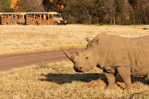 Sunset Safari At Werribee Open Range Zoo - VIC Tourism 1