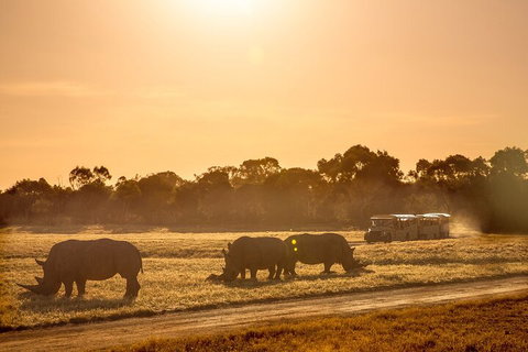 Sunset Safari At Werribee Open Range Zoo - VIC Tourism 2