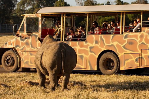 Sunset Safari At Werribee Open Range Zoo - VIC Tourism 5