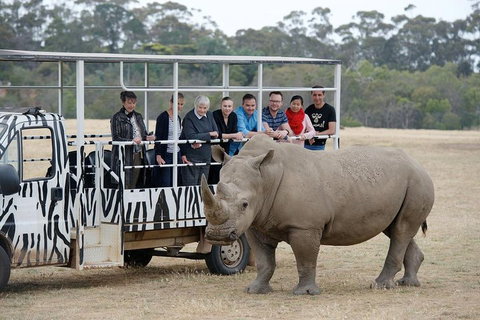 Off-Road Safari At Werribee Open Range Zoo - VIC Tourism 0