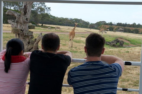 Off-Road Safari At Werribee Open Range Zoo - VIC Tourism 4
